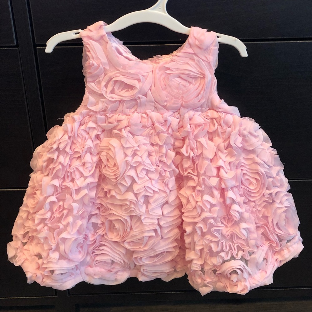 Baby Pink Rose Dress NWOT